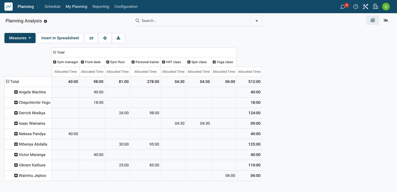 BridgeERP planning analysis pivot by person and role