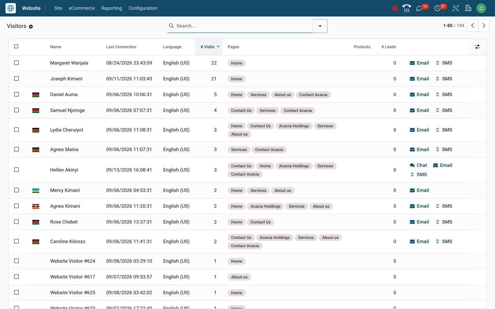 BridgeERP Website Visitors screen with visitor cards, countries and visit counts